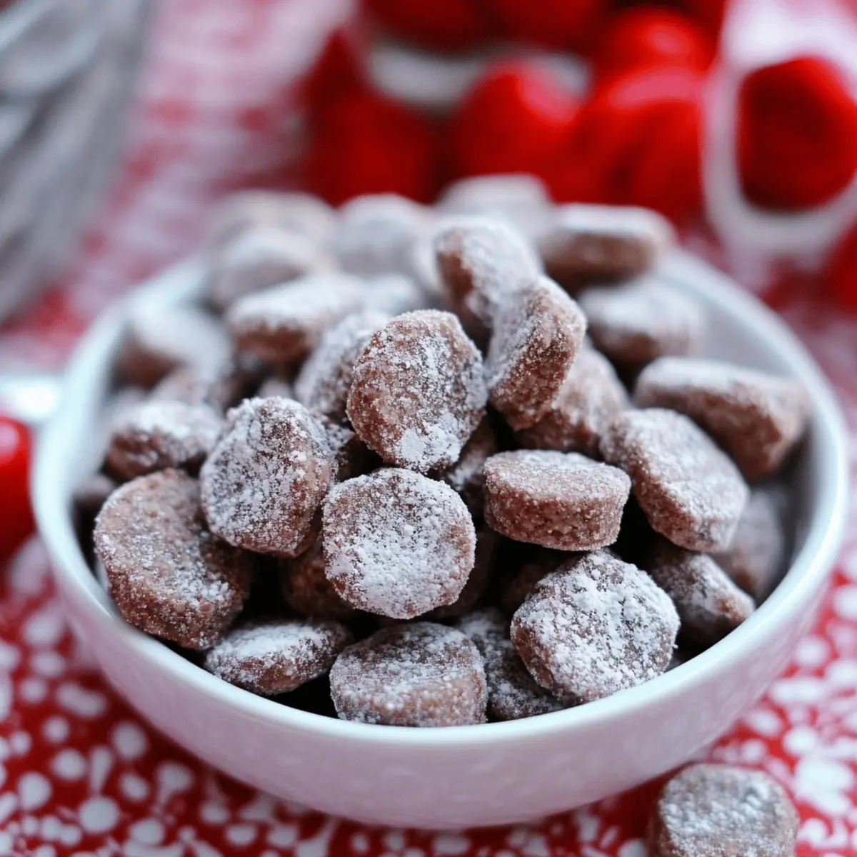 Ritz Bits Muddy Buddies Snack hkytuj