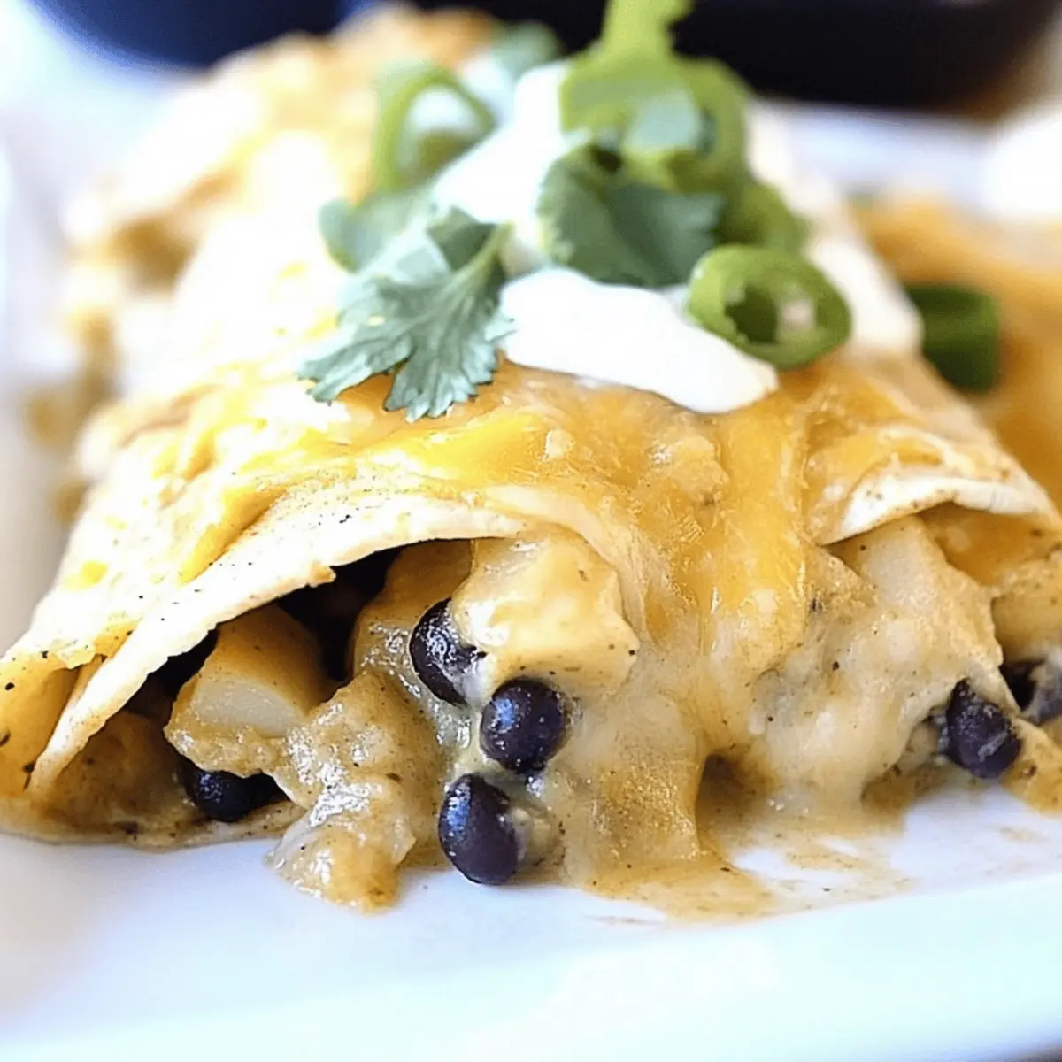 Black Bean Potato Green Chile Enchiladas dhrurj