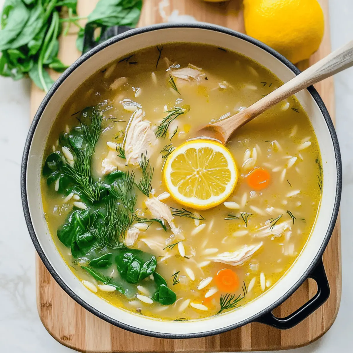 Chicken and Orzo Soup cvkczi