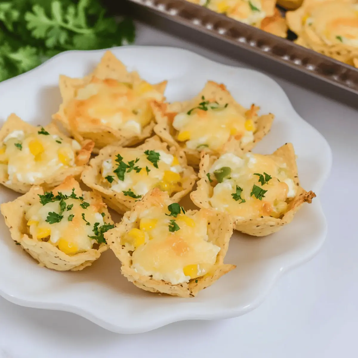 Iowa Party Bites dfbkoa