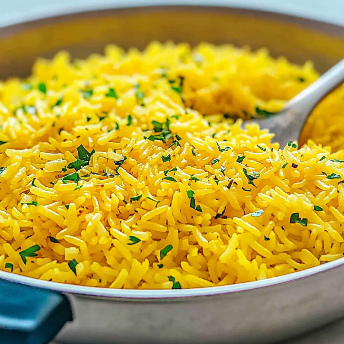 b876e79c 632f 4922 8239 49d3bd2bee29bl nuztqk