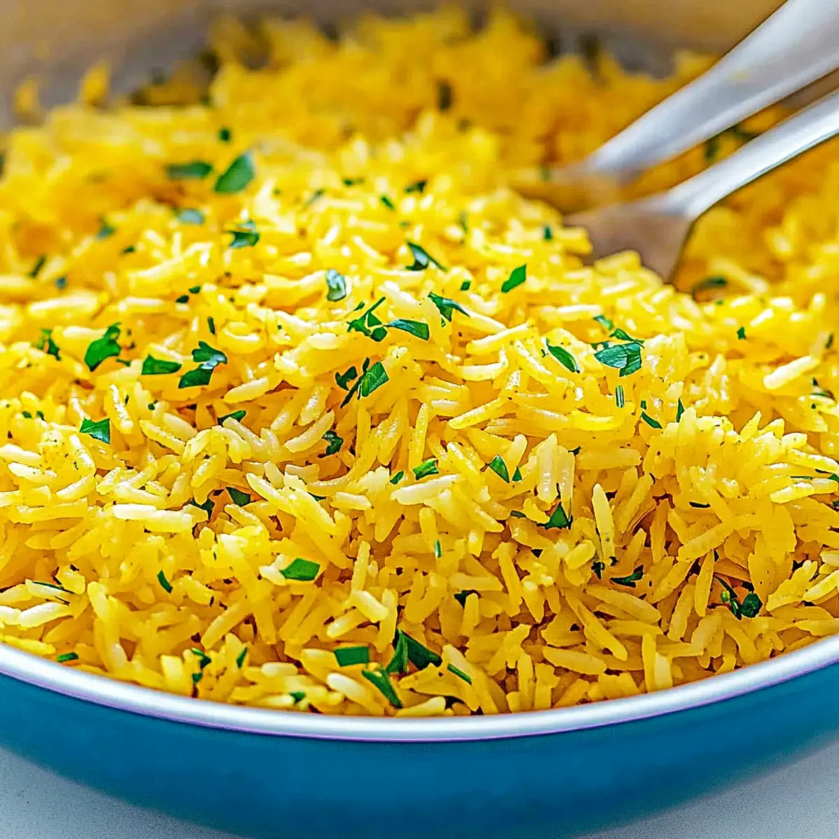 b876e79c 632f 4922 8239 49d3bd2bee29tr k06dsr